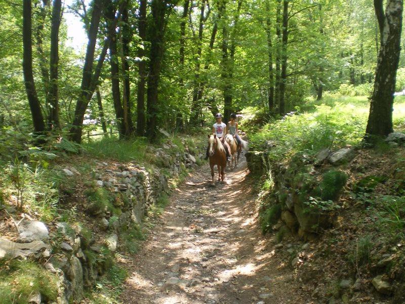 La Dolce Vita Chalet Massino Visconti Εξωτερικό φωτογραφία
